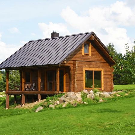 Vip Forest Dreams Villa Anykščiai Bagian luar foto