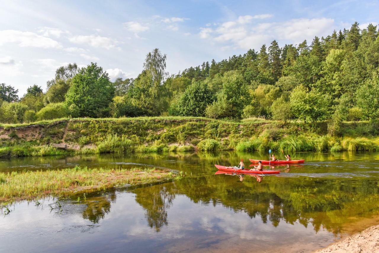 Vip Forest Dreams Villa Anykščiai Bagian luar foto