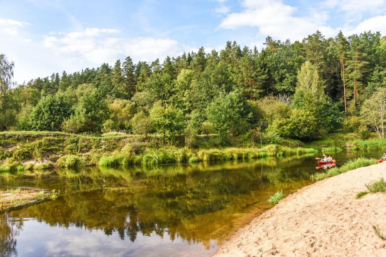 Vip Forest Dreams Villa Anykščiai Bagian luar foto