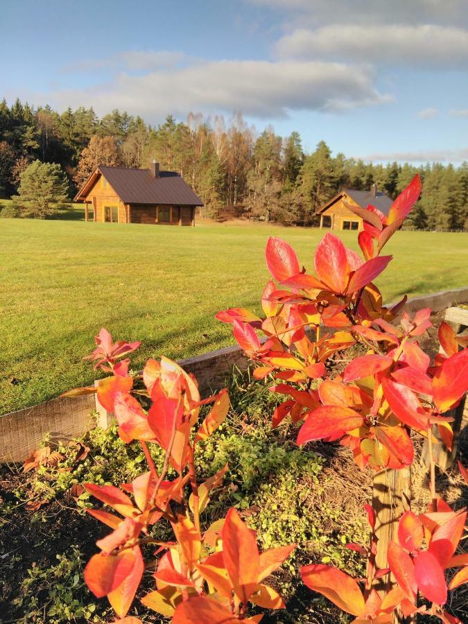 Vip Forest Dreams Villa Anykščiai Bagian luar foto