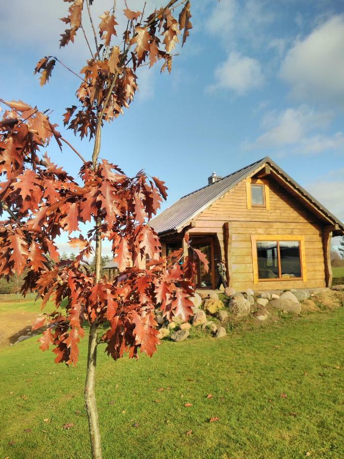 Vip Forest Dreams Villa Anykščiai Bagian luar foto
