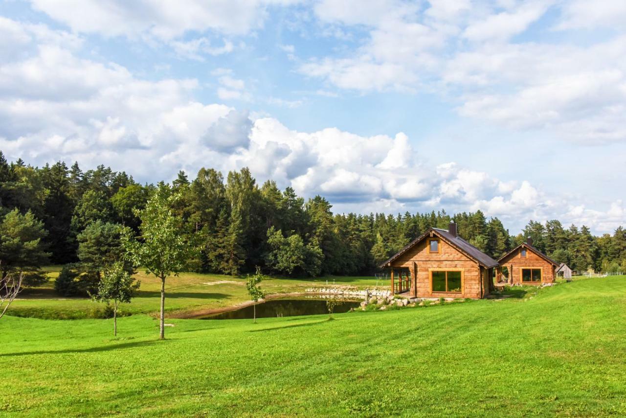 Vip Forest Dreams Villa Anykščiai Bagian luar foto