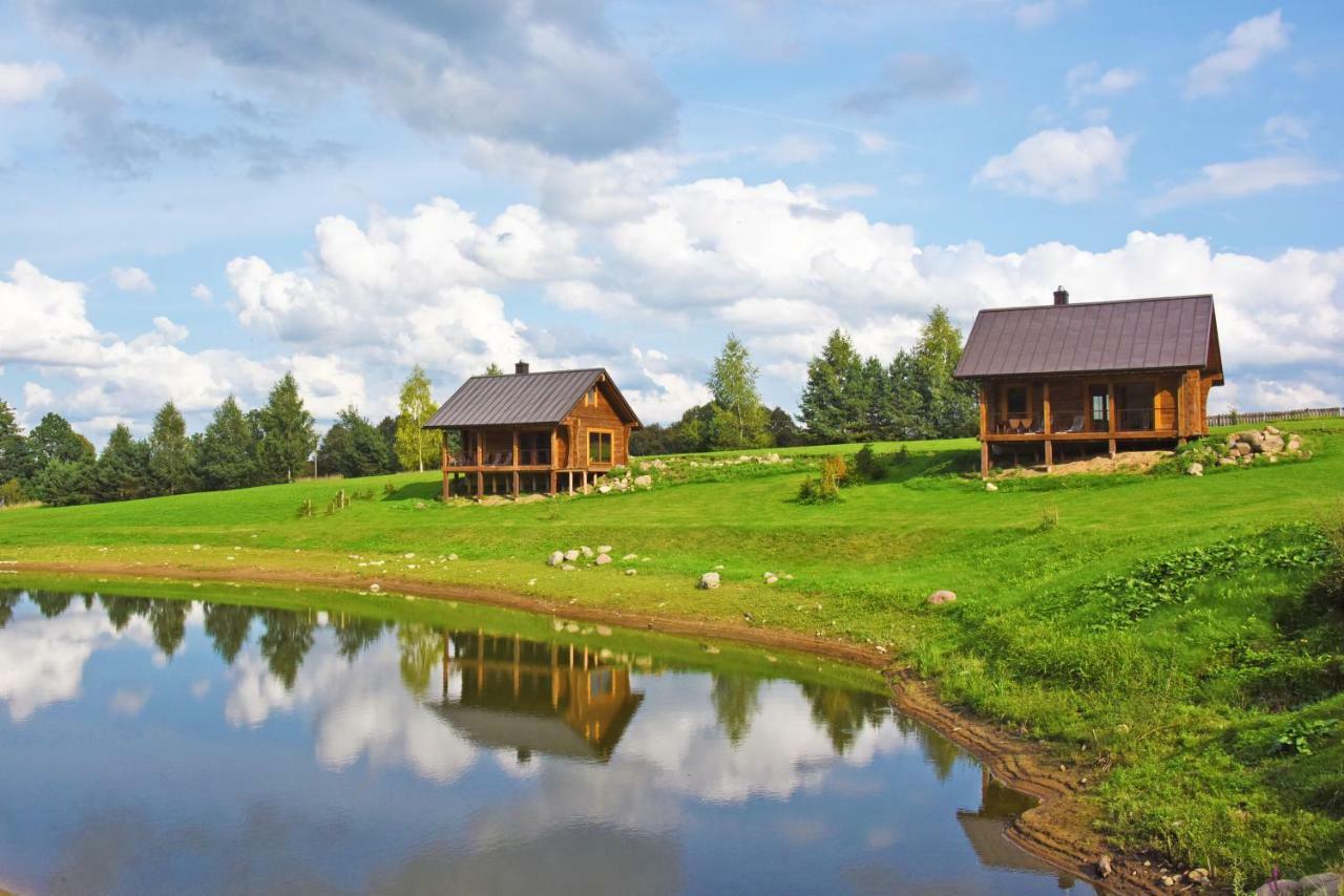 Vip Forest Dreams Villa Anykščiai Bagian luar foto