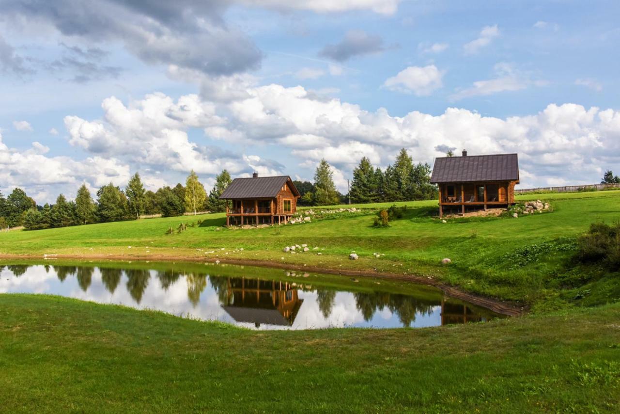 Vip Forest Dreams Villa Anykščiai Bagian luar foto