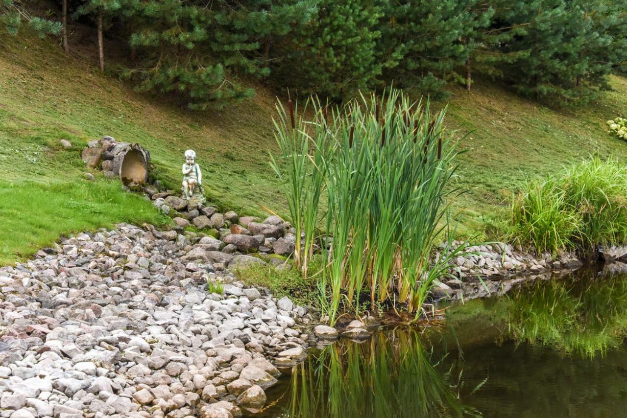 Vip Forest Dreams Villa Anykščiai Bagian luar foto